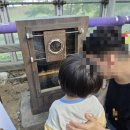 그린타워 | 충남 아산 생태곤충원 그린타워 아기랑 방문 후기