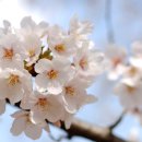 신등초등학교 이미지