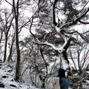 구라산성 이미지