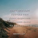 애가