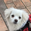 단계동길-2 이미지