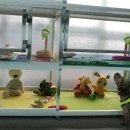 아라펫살롱 이미지