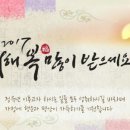 라앤모모