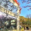 UR(공주시)-[동학사1로]-상-12 | 충남 공주 단풍 명소 가볼만한 곳 불장골 저수지 엔학고레 마세오른 주차 팁