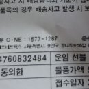 토요장터 차요테.열매마모종 이미지