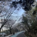 성곽공영주차장 화장실 | 아이와 행궁동 벚꽃 나들이 후기! 유아휴게실부터 주차장 명당까지 육아 데이트 코스 총정리 🌸