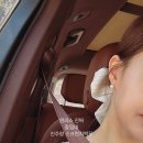 (주)베르만 이미지