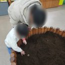 여주곤충박물관 이미지