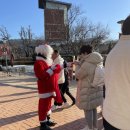 초미사슴 이미지