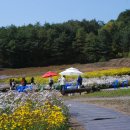 인제농장 이미지