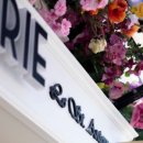 디저트칸 이미지