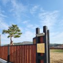 팔레트 펜션 | [공지] 자연 속 독채 숙소, 청도 거슬러오른집 펜션 이용 후기