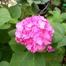 노인복지관(신관) 이미지