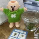 행운집 | [행운 인테리어 소품 추천] 집 분위기 살려주는 미니 화분 후기