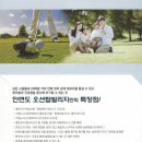 안면도레포츠랜드 이미지
