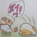고일 이미지