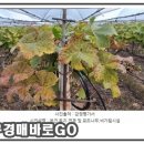 매산등경로당 이미지