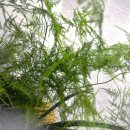 일신산업 | 화훼장식기사 실기시험 후기 독학꿀팁! 휘경동 서울국가자격시험장 주차정보