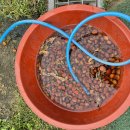 기성농장 이미지