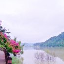 로하우스