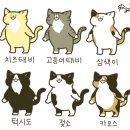 삼색고등어