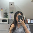 모아이818 이미지