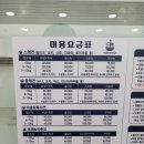 예뻐지개냥 이미지