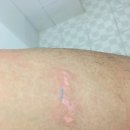 동남장여관 이미지