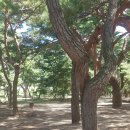 하동공원길 이미지