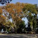 하늘숲초등학교 이미지