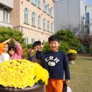 활짝핀유치원 이미지