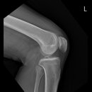 유정행정사 이미지