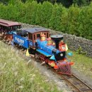 캡틴제주 이미지