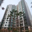 중앙동207 이미지