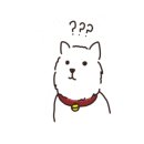 Super Market 이미지