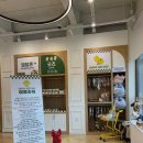 해피바우 애견유치원 네이버블로그