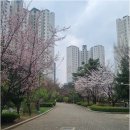 판교현대공인중개사사무소 | 판교역부동산 찾으신다면? 판교푸르지오그랑블부터 알파리움까지 꼼꼼히 알아보는 방법!