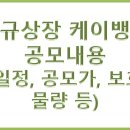 [IPO/공모]하반기 공모주 최대어 케이뱅크 공모내용 알아보기! 이미지