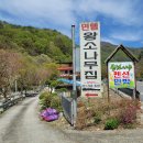 왕소나무집 이미지