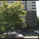 부산진구-37 이미지