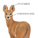 청년정육점 이미지