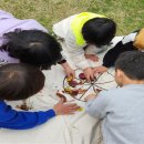 아산흰돌유치원 이미지