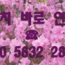 에이아이씨 이미지