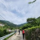 2026.07.25 근교 한여름 단합산행 삼랑진 금오산(730m)- 행곡산장 이미지
