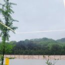 대전 유성데이트 도룡동 텍스트가든 통창뷰 식물카페