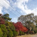 강학2리 이미지