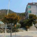 프롤라돌산점 | 여수 프롤라 돌산 파스타 맛집