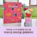 어르신 원예활동 | 어버이날 시니어 원예체험 프로그램｜카네이션 하바리움 만들기 힐링 원예테라피 후기