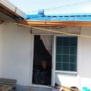 (주)세진 GBN 경북방송