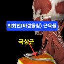 바디챌린지 휘트니스 이미지